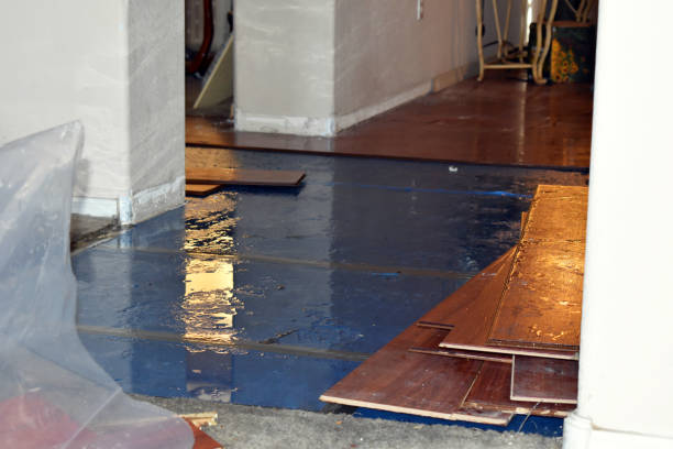 Professional Water Damage Restoration technician working in Warren, NJ